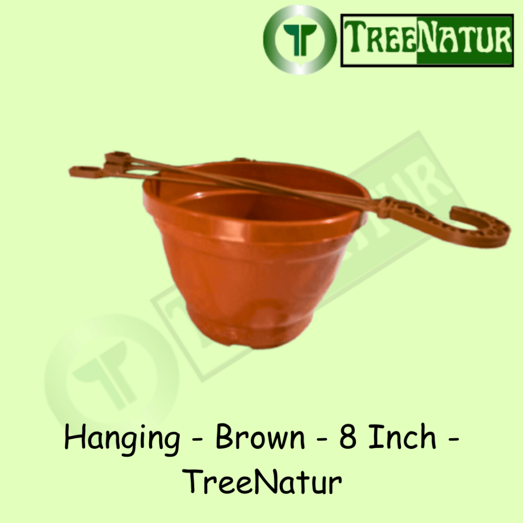 Hanging - Brown - 8 Inch - TreeNatur