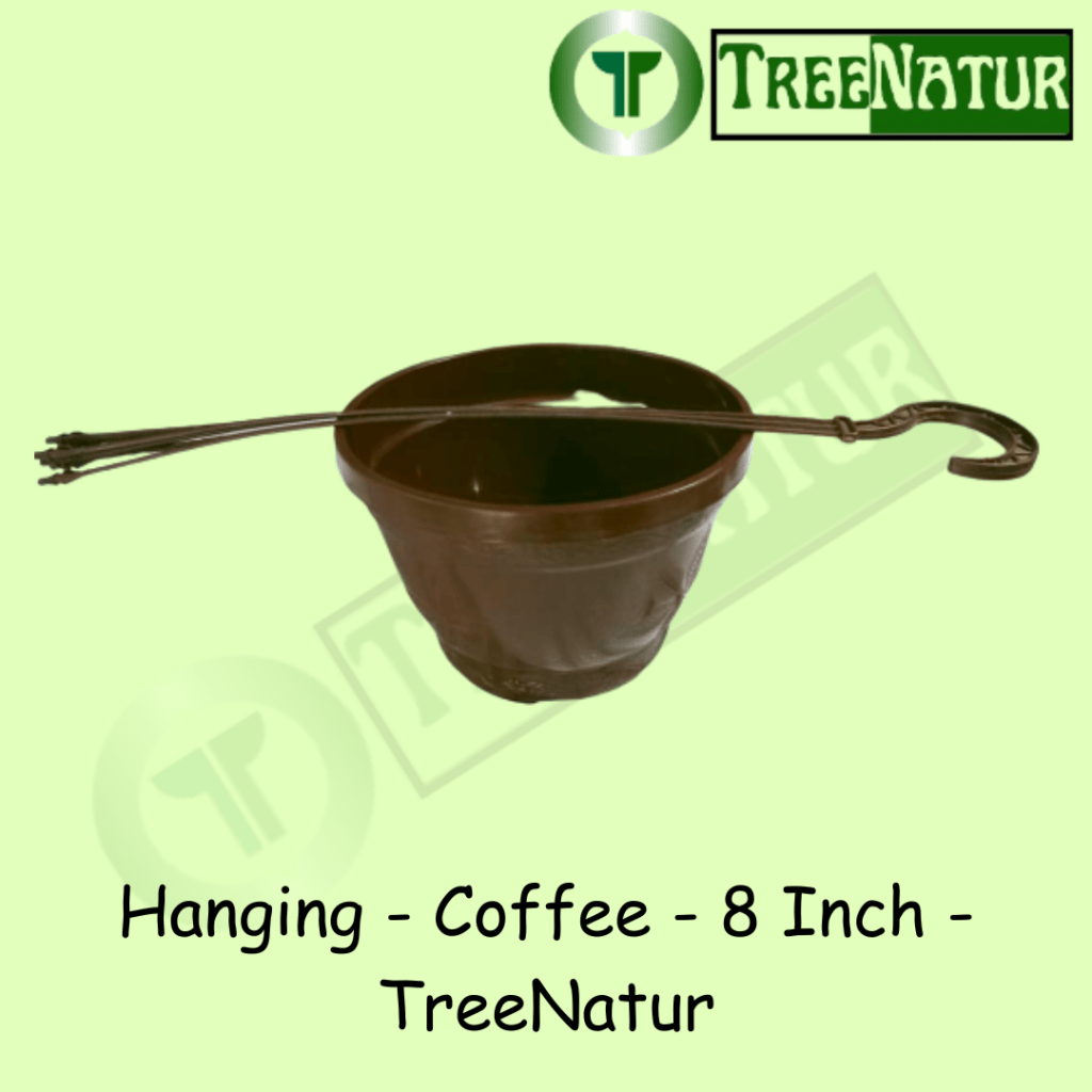 Hanging - Coffee - 8 Inch - TreeNatur