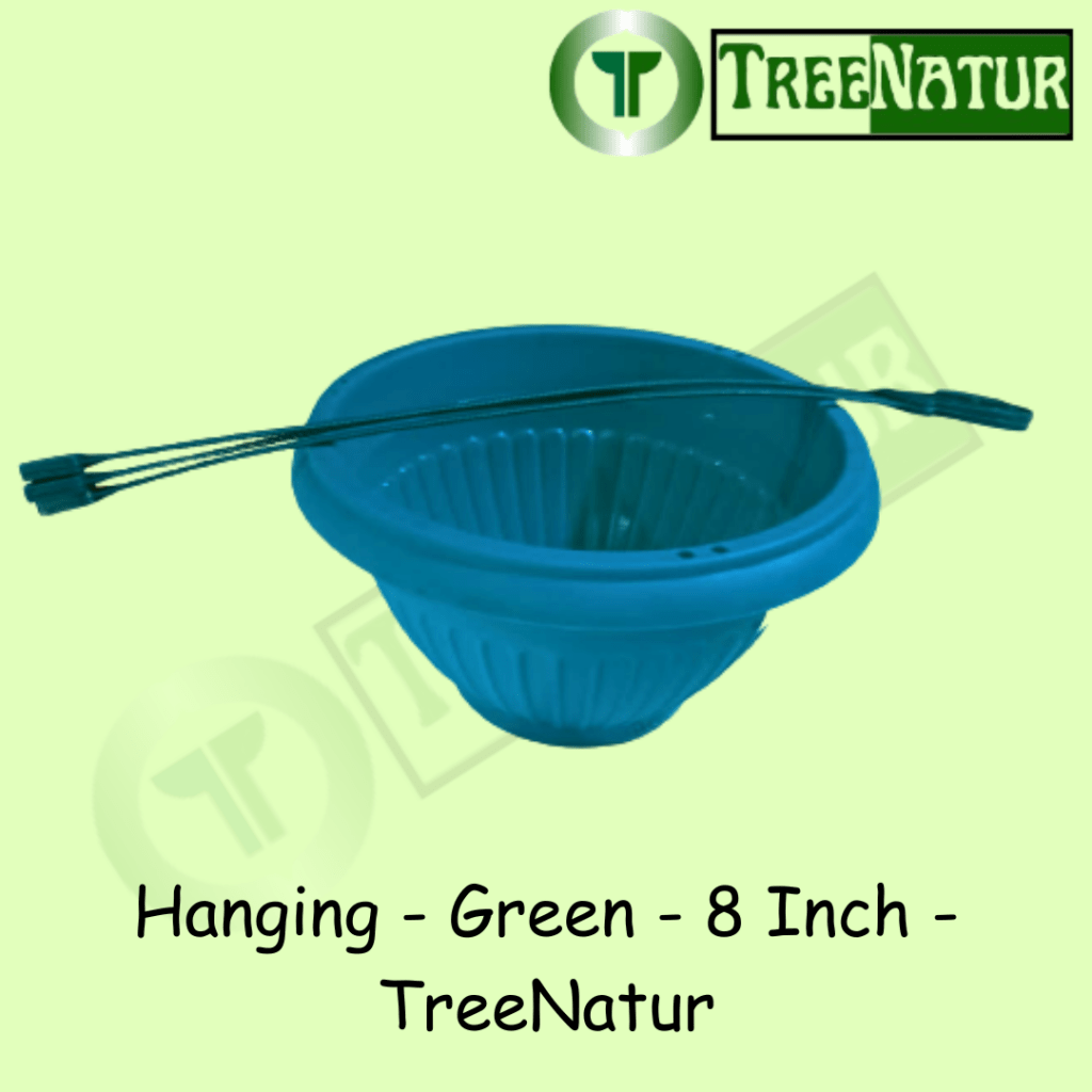 Hanging - Green - 8 Inch - TreeNatur