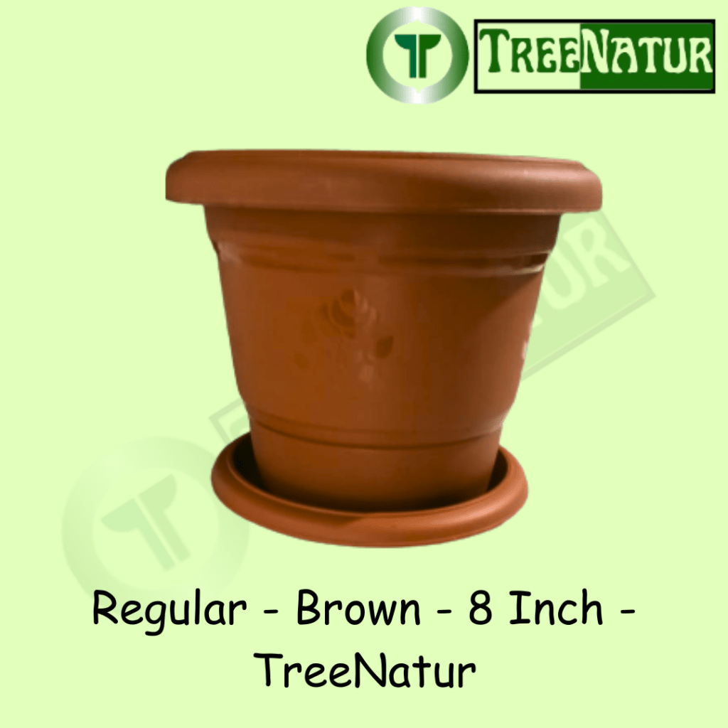 Regular - Brown - 8 Inch - TreeNatur