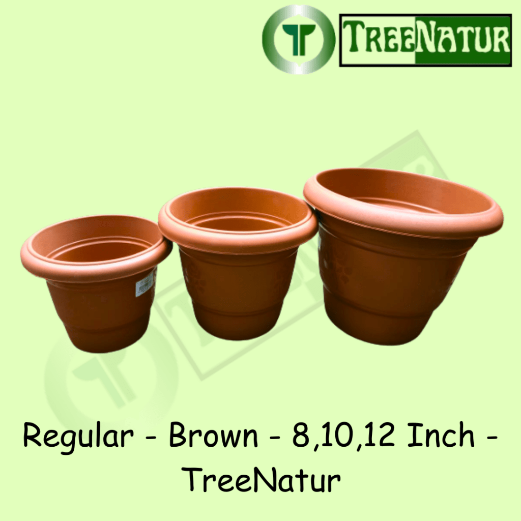 Regular - Brown - 8,10,12 Inch - TreeNatur