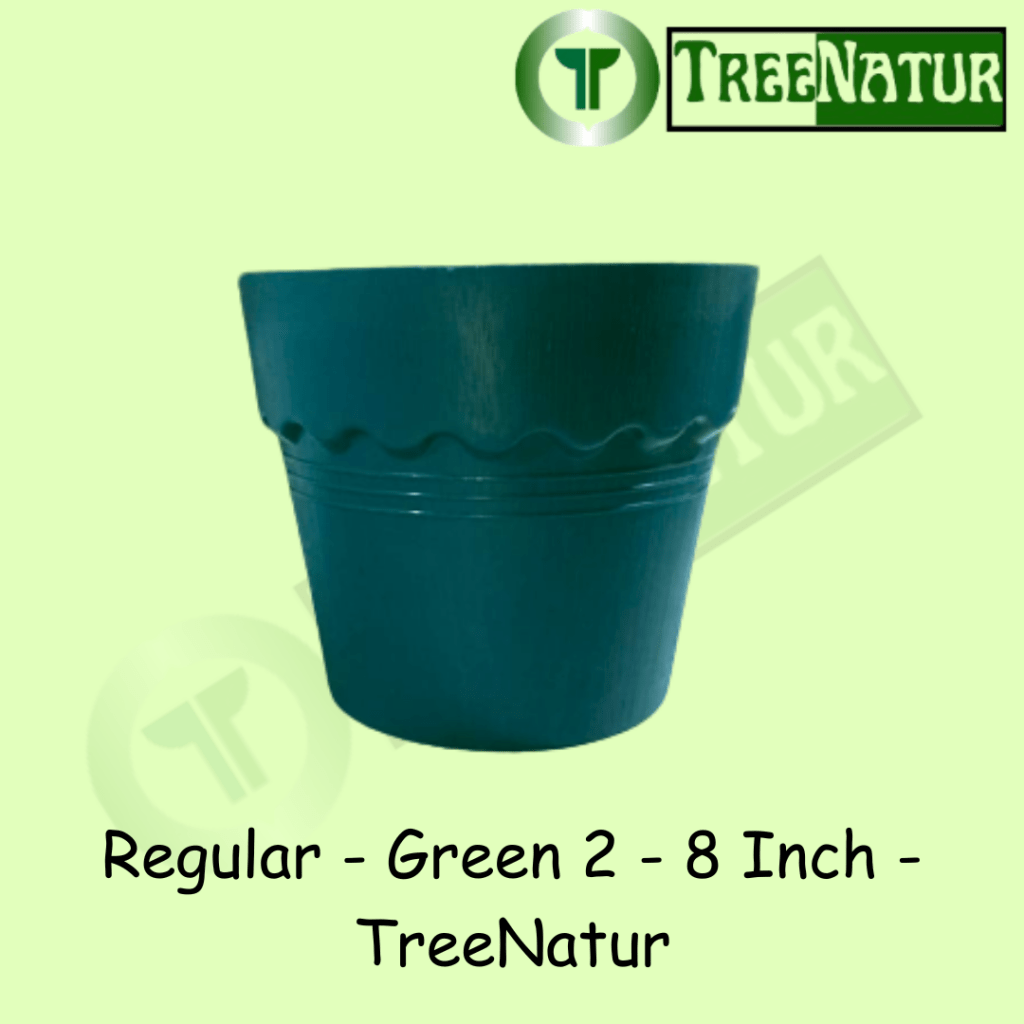 Regular - Green 2 - 8 Inch - TreeNatur