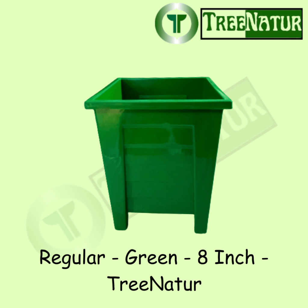 Regular - Green - 8 Inch - TreeNatur