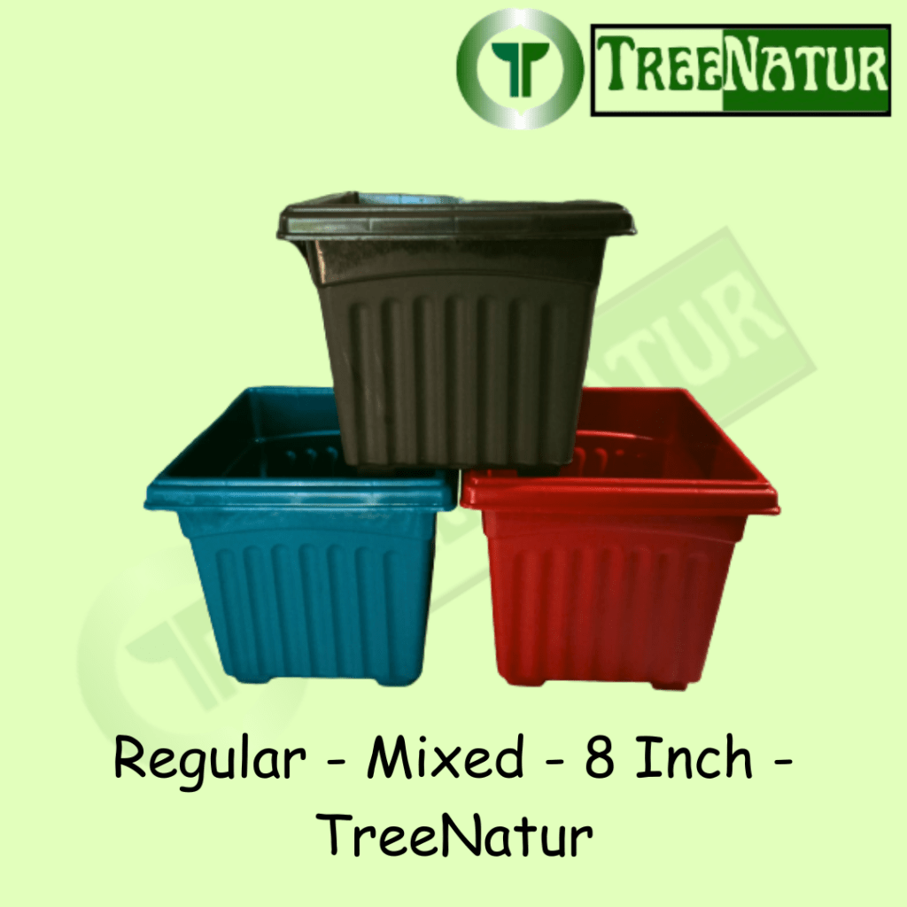 Regular - Mixed - 8 Inch - TreeNatur