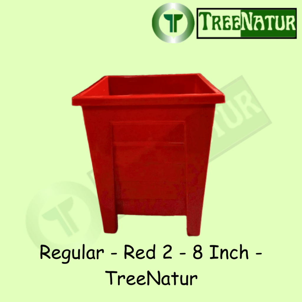 Regular - Red 2 - 8 Inch - TreeNatur