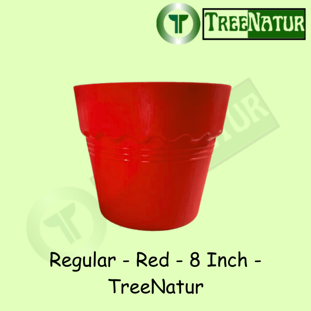 Regular - Red - 8 Inch - TreeNatur