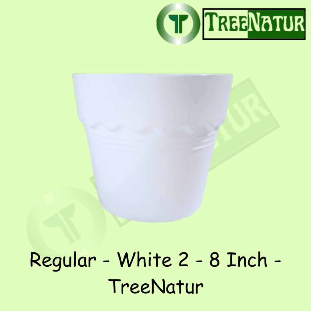 Regular - White 2 - 8 Inch - TreeNatur