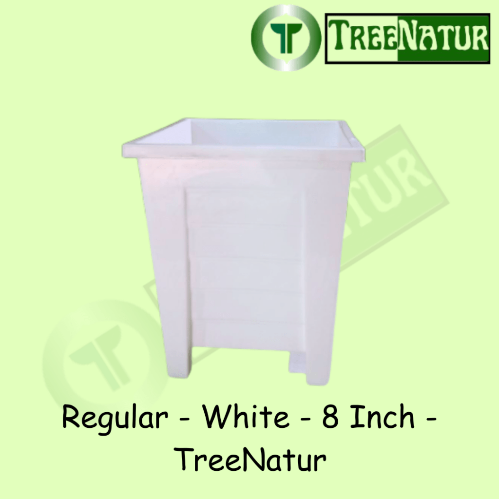 Regular - White - 8 Inch - TreeNatur