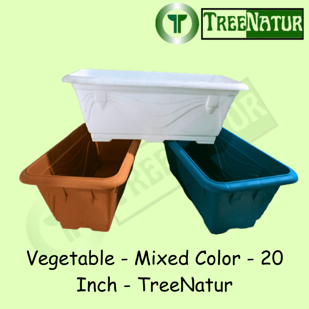 Vegetable - Mixed Color - 20 Inch - TreeNatur